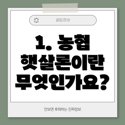 1. 농협 햇살론이란 무엇인가요?