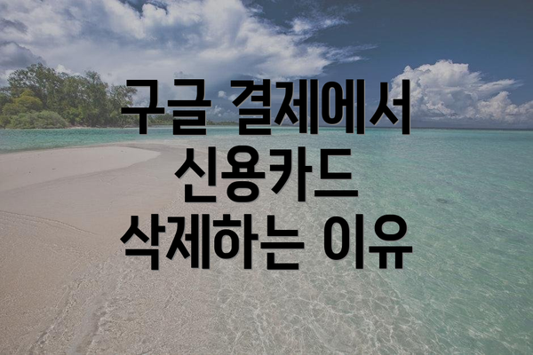 구글 결제에서 신용카드 삭제하는 이유