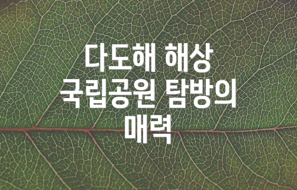 다도해 해상 국립공원 탐방의 매력