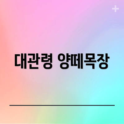 대관령 양떼목장