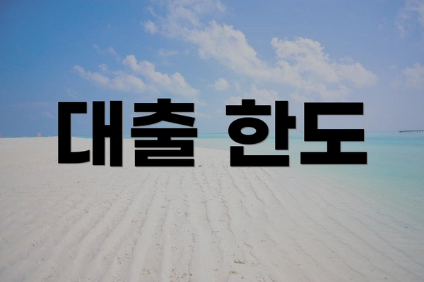 대출 한도