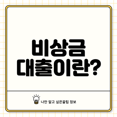 비상금 대출이란?