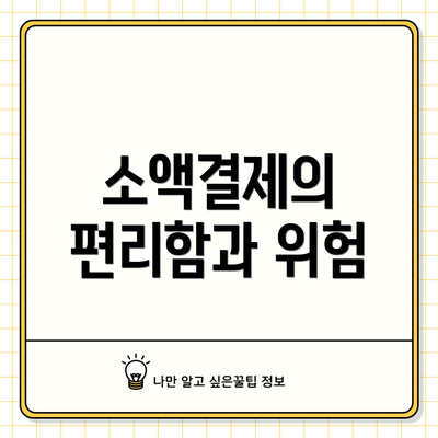 소액결제의 편리함과 위험