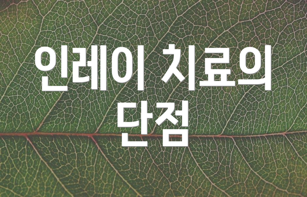 인레이 치료의 단점