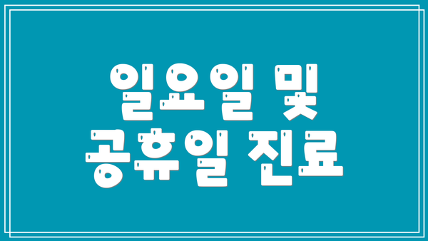 일요일 및 공휴일 진료