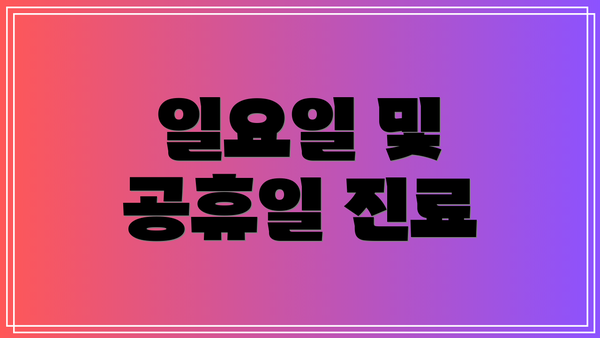 일요일 및 공휴일 진료