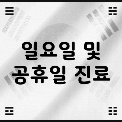 일요일 및 공휴일 진료