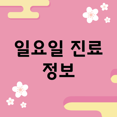 일요일 진료 정보