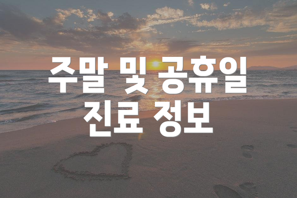 주말 및 공휴일 진료 정보