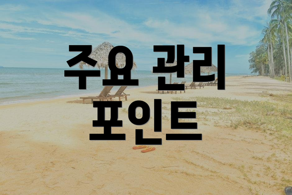 주요 관리 포인트