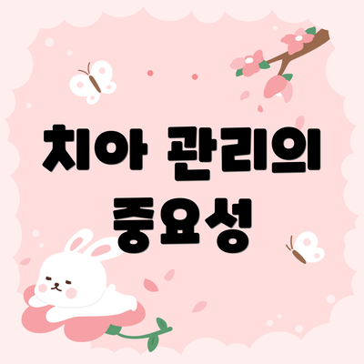 치아 관리의 중요성