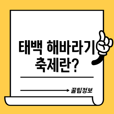 태백 해바라기 축제란?